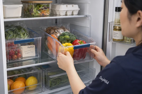 DayMild fridge organizers application illustration